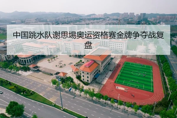 中国跳水队谢思埸奥运资格赛金牌争夺战复盘 - chaofangames